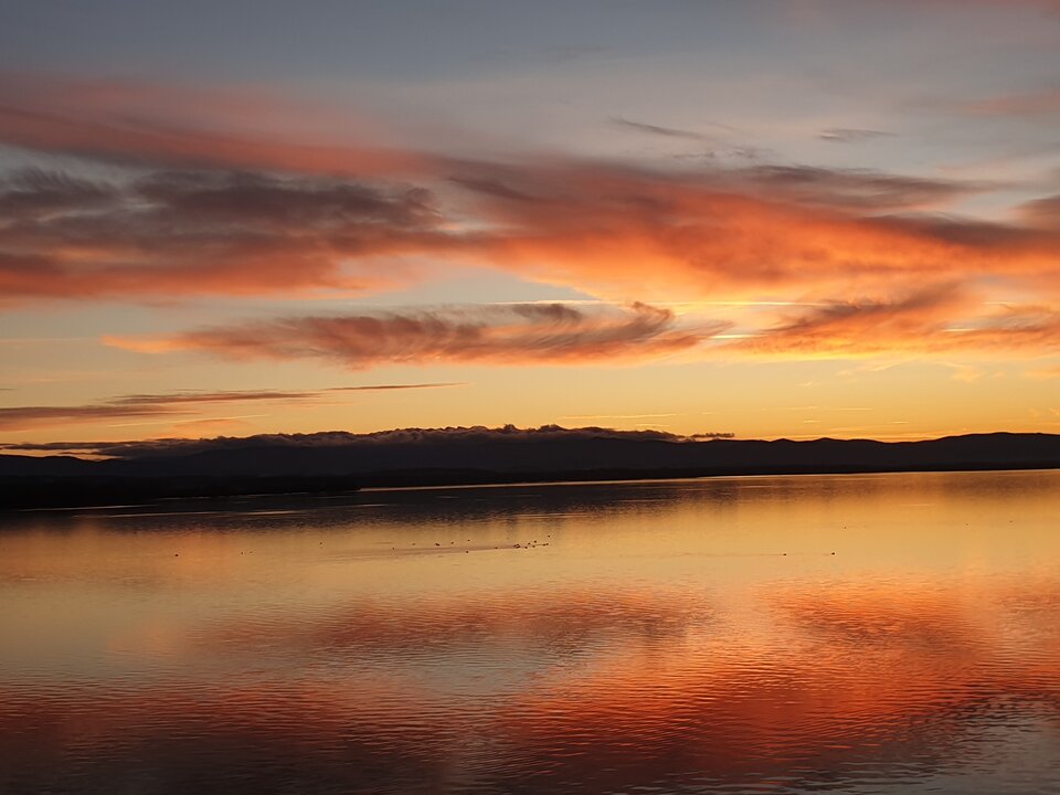 20230107_161445.jpg - Sokrates976