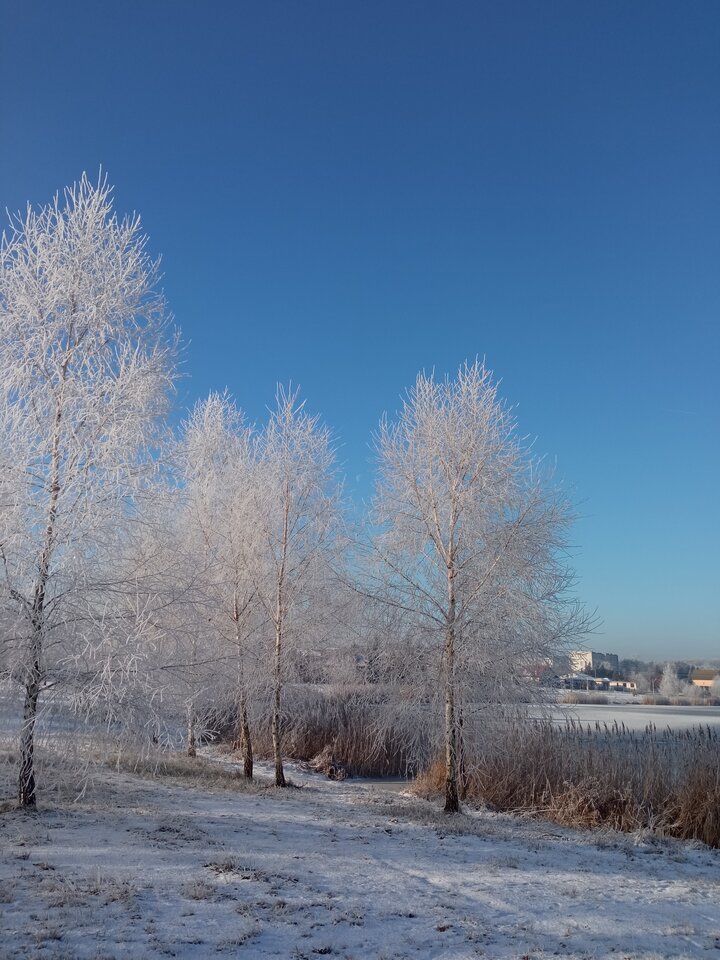 IMG_20211226_100201.jpg - 83grzesiek