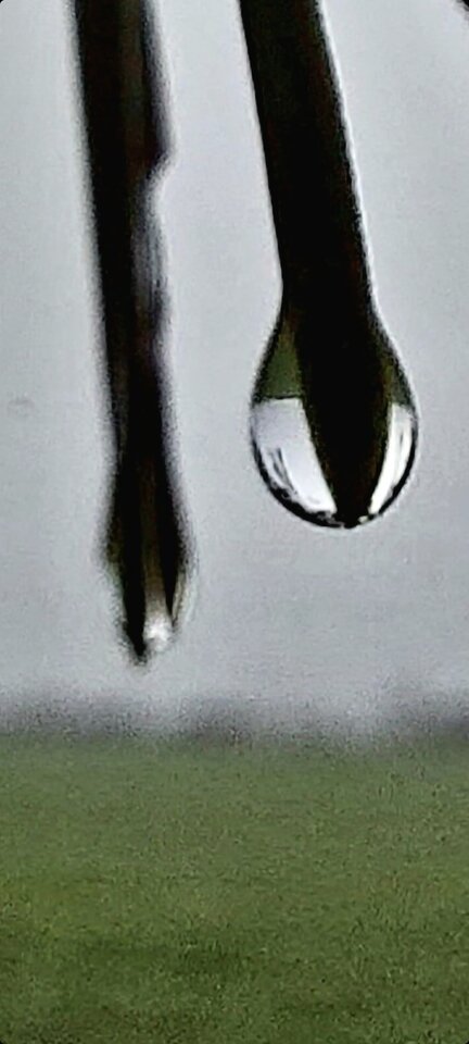 Screenshot_20230107_134503_Gallery.jpg - Argument73