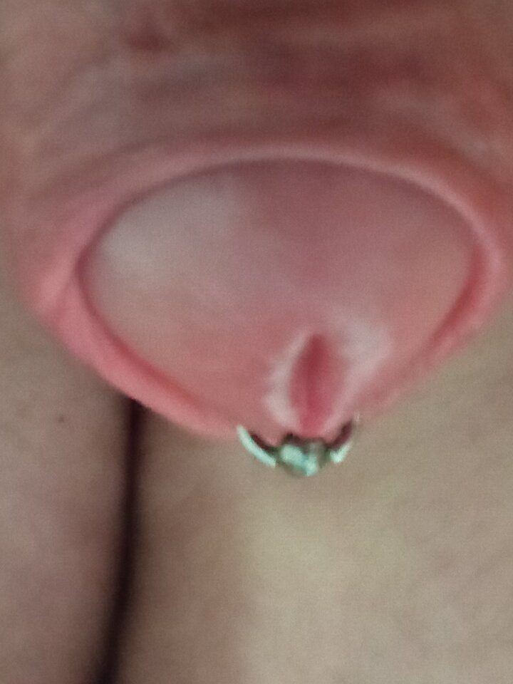 IMG_20230107_223121.jpg - premier4442