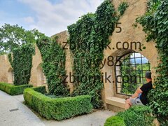 20220806_113850.jpg