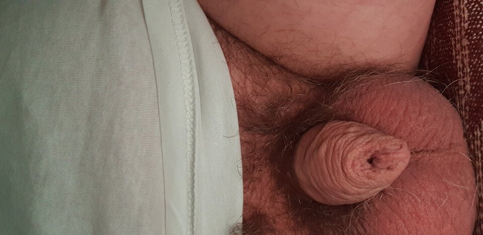 20230109_104152.jpg - milusi9876