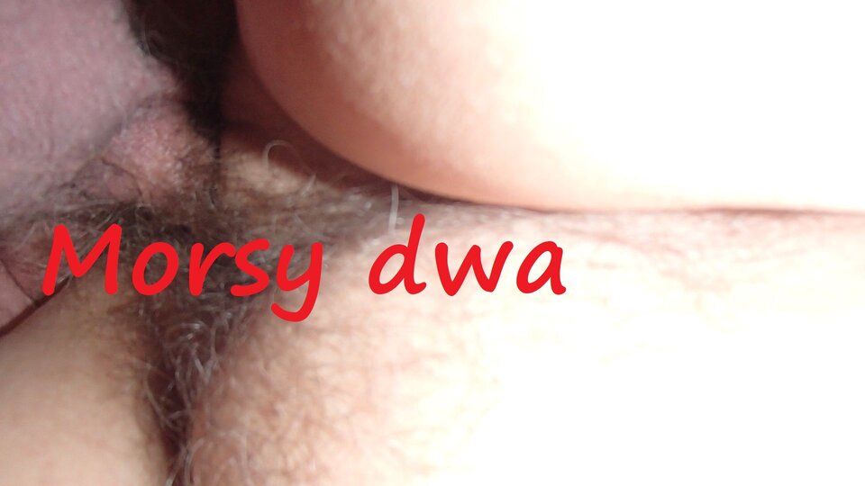 M - Morsy_dwa