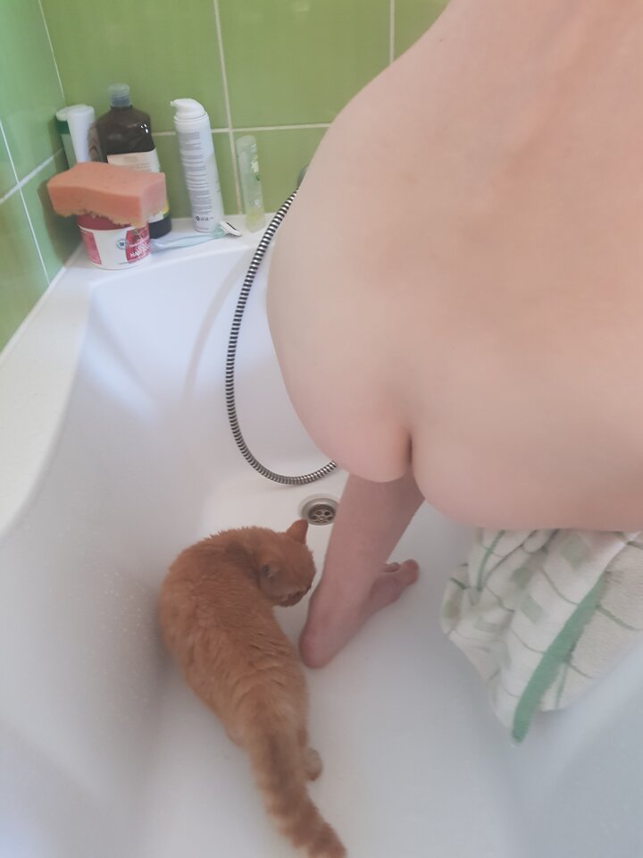 20220605_090630.jpg - 2017ONI