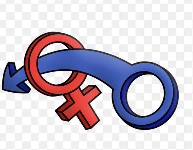 4172F3F5-3B25-4C5A-B91A-592B0FAD4D95.jpeg - PleasantFellow