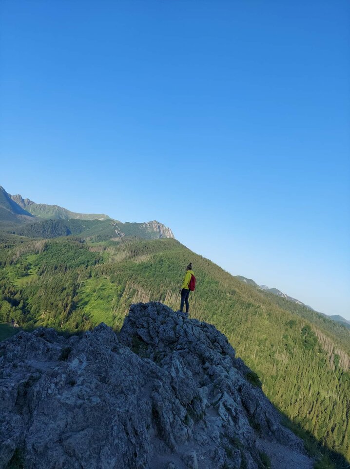 received_726363302006534.jpeg - avocadoZpestka