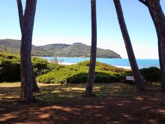 20140515_124510.jpg