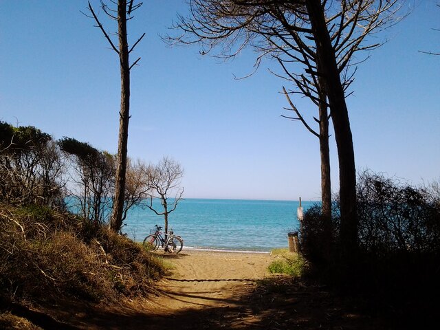 algui