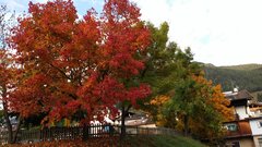 20151009_170840.jpg