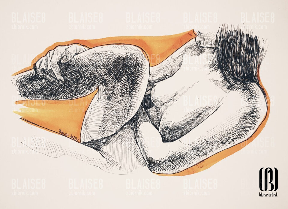 Art. No. 203 - blaise8