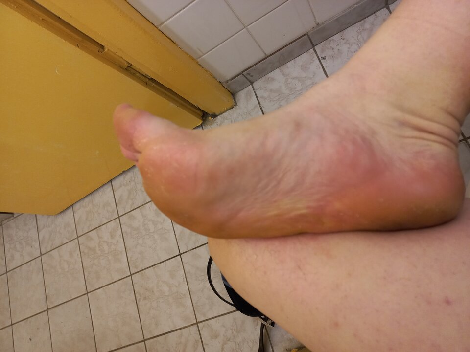 20221227_111211.jpg - Stopowykundel