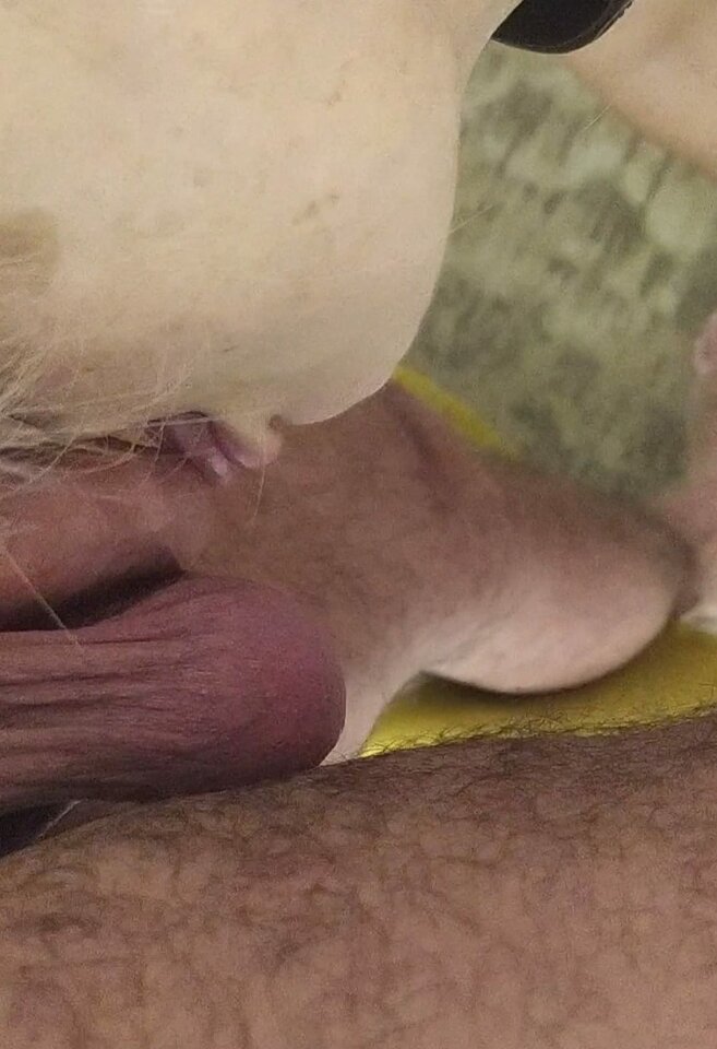 IMG-20230113-WA0014.jpg - miroxs