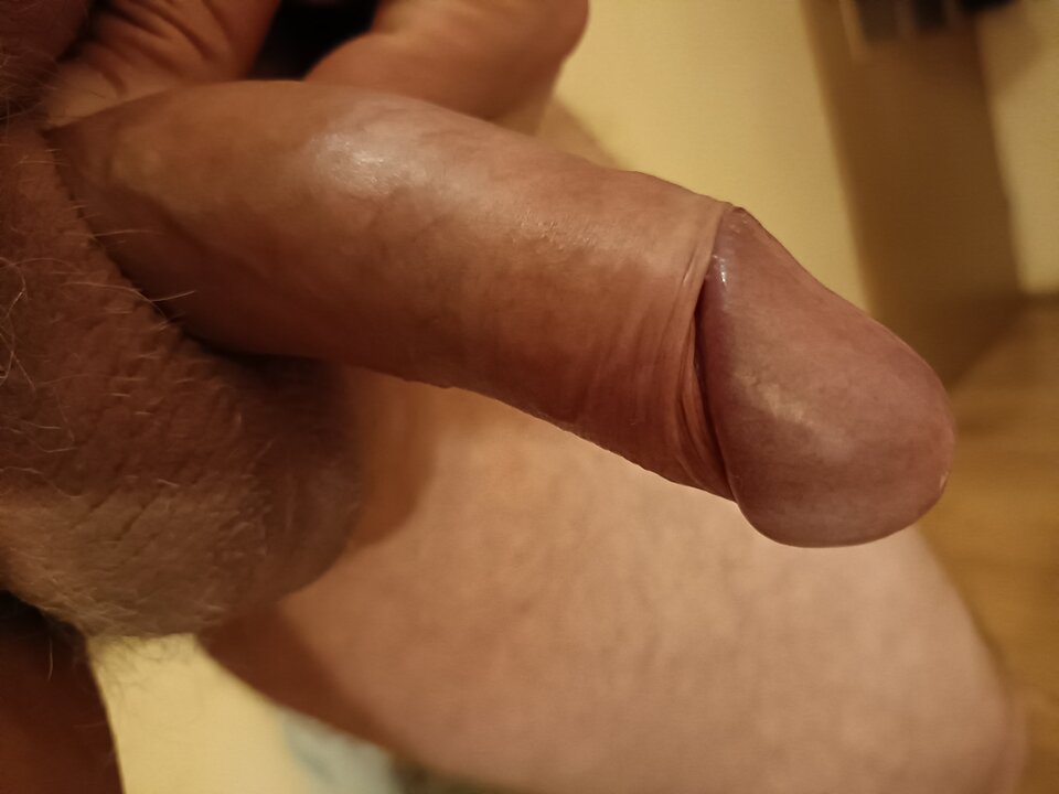 16736321511509105117799162722283.jpg - ardas1