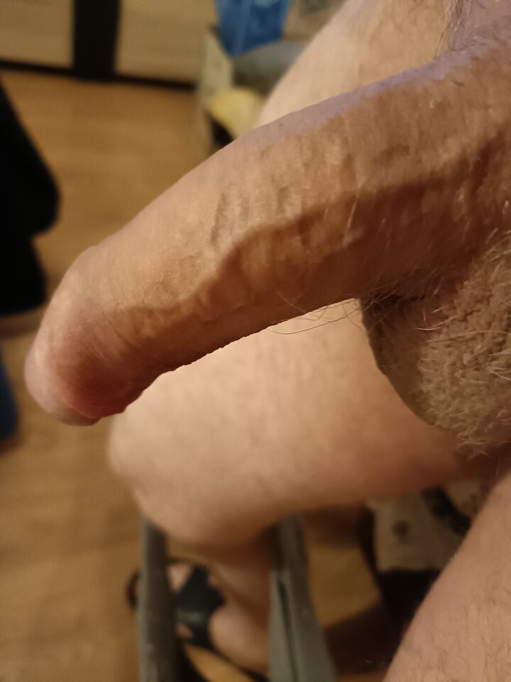 16736717204171398743556487349092.jpg - ardas1