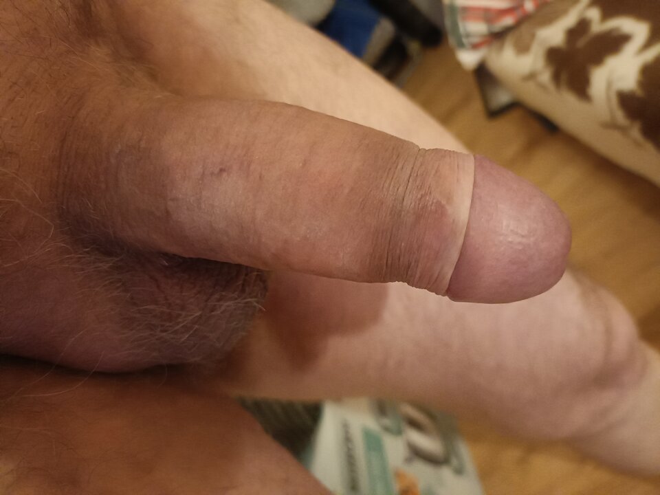 16736718207596247518606548265344.jpg - ardas1