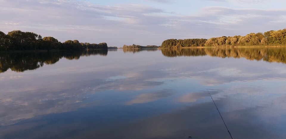 1000002644.jpg - LysyWiesioijegosucz