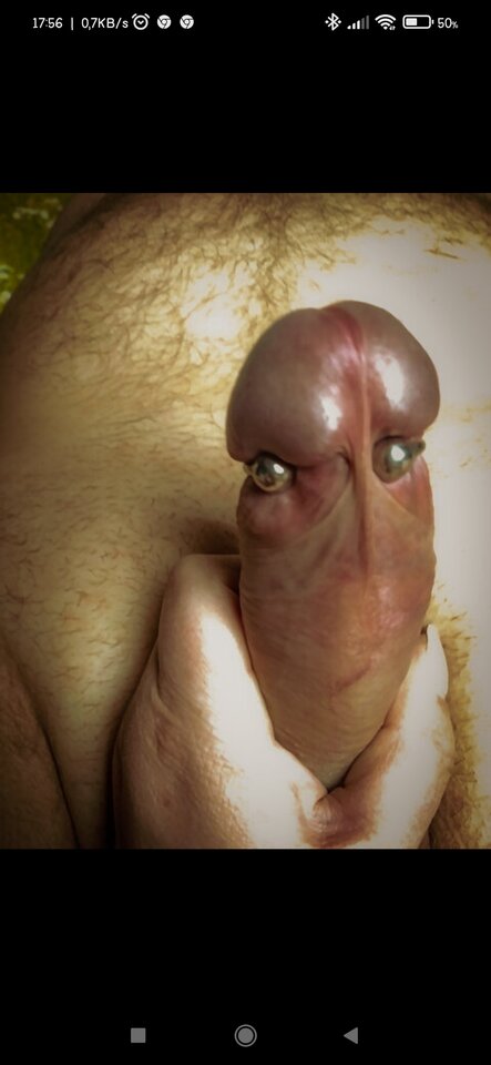 Screenshot_2023-01-13-17-56-12-679_com.android.chrome.jpg - Biejust