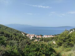 IMG_20220624_095412.jpg