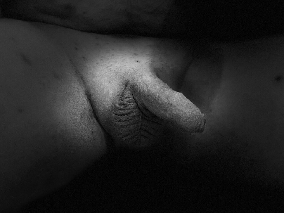 54F39394-2430-47ED-95AA-D7D659CE7EAF.jpeg - small_bull