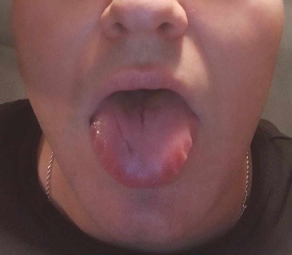 IMG_20230115_174108.jpg - analconda84