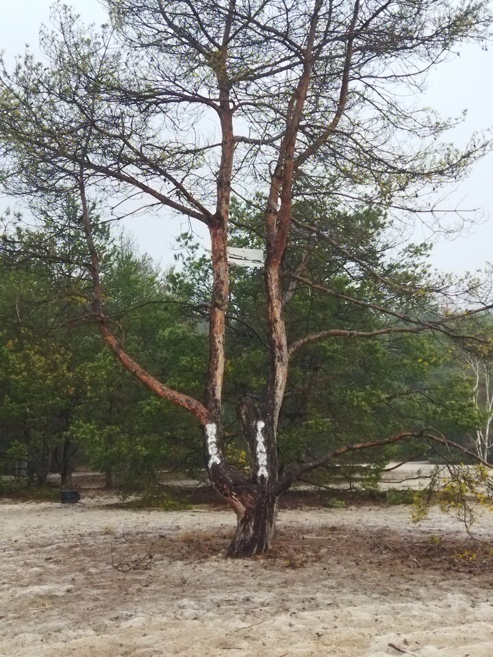 IMG_20230116_090538.jpg - nudist_friends75_76