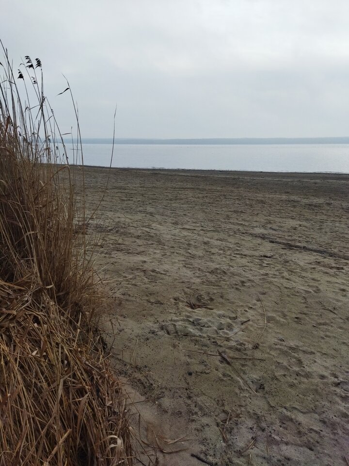 IMG_20230116_090426.jpg - nudist_friends75_76