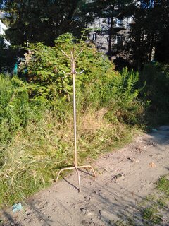IMG_20220729_072635.jpg