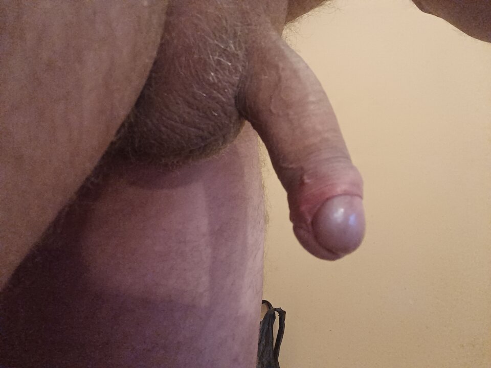 16740178932954652406011803948612.jpg - ardas1