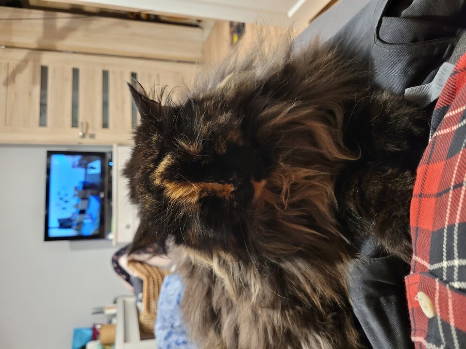 20230118_121956.jpg - gutek1234