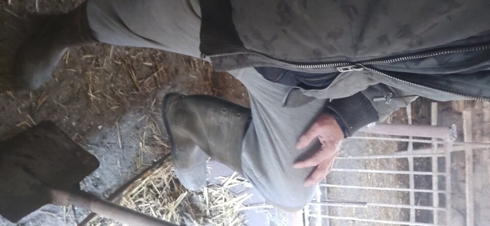 IMG_20230116_124753.jpg - nikesong