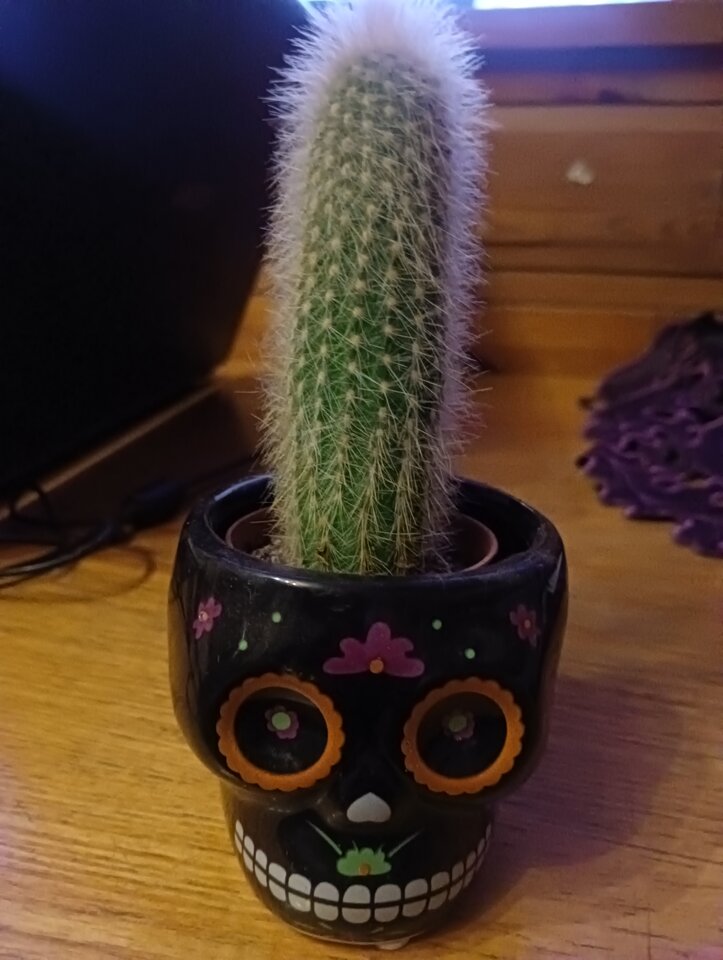 IMG20230118172355.jpg - PARA3734my