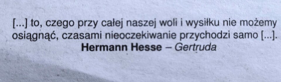 IMG_20230118_153200.jpg - Nicci