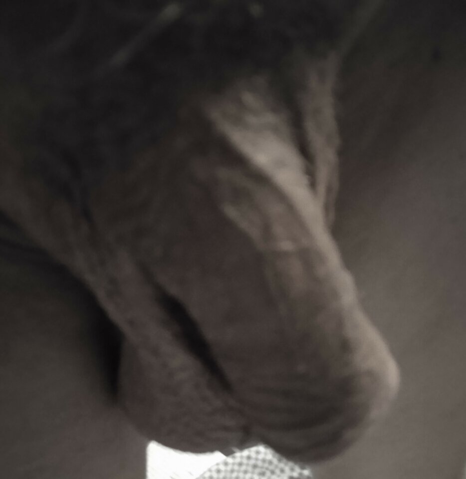 IMG_20230120_070807~2.jpg - 19Grzegorz55