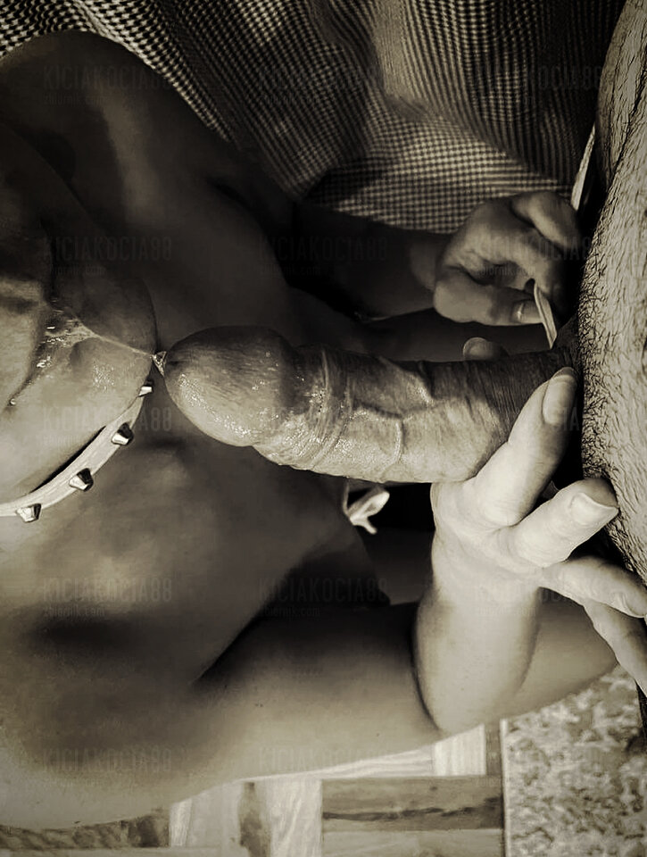 Polish_20230119_130428606.jpg - KiciaKocia88