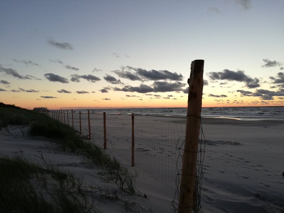 IMG_20180629_214248.jpg - _Bitch_Coin_