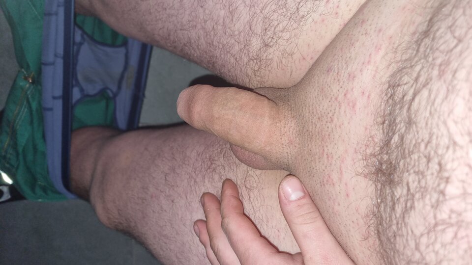 16742372683585371999344909056085.jpg - WyssamCie69