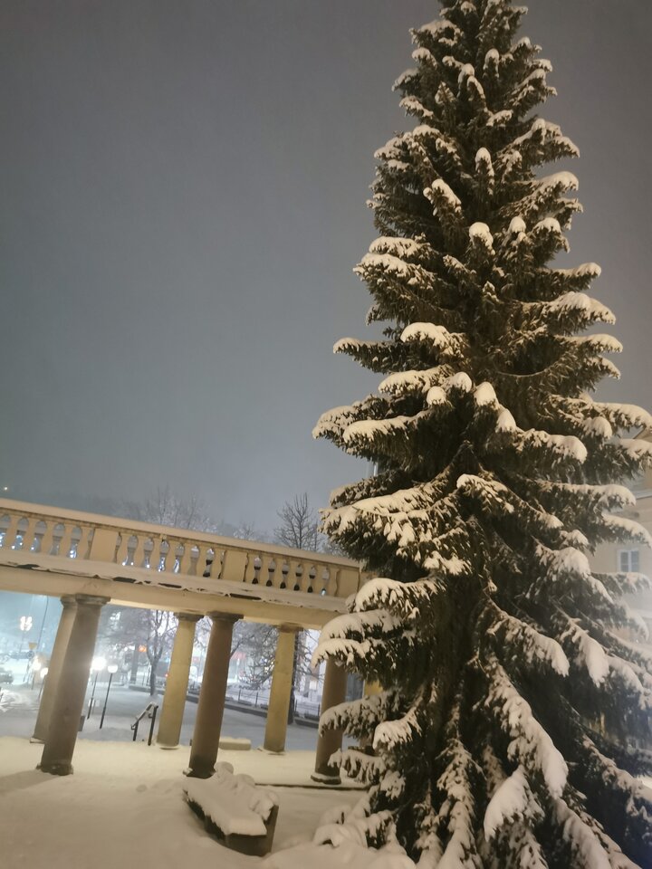 IMG_20230120_183942.jpg - adam1508