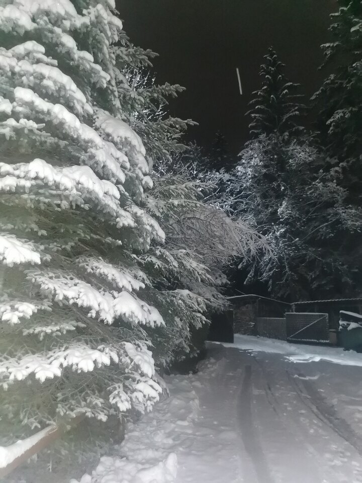 IMG_20230119_205216.jpg - adam1508