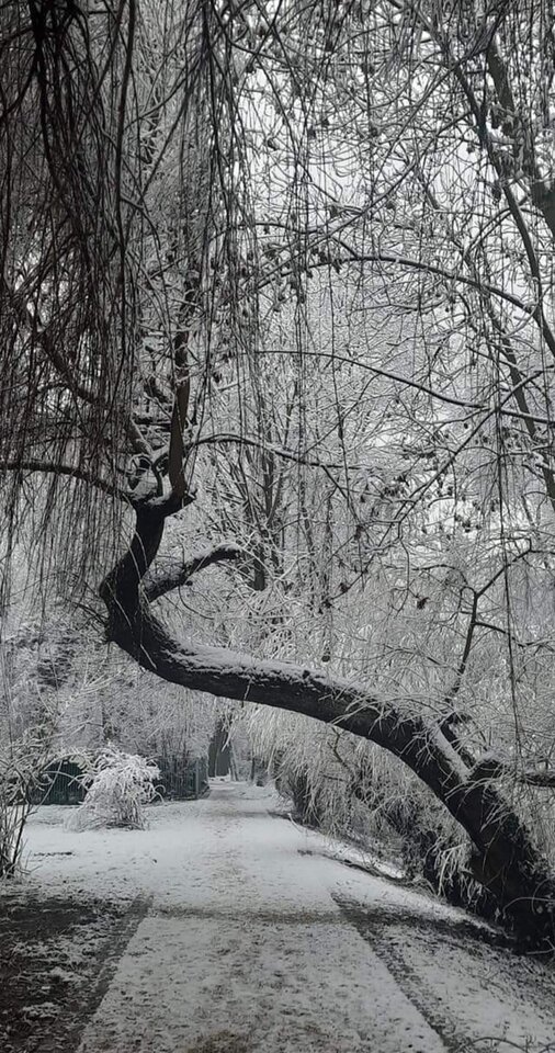 IMG_20230120_232920.jpg - BezNickuOn_Krk