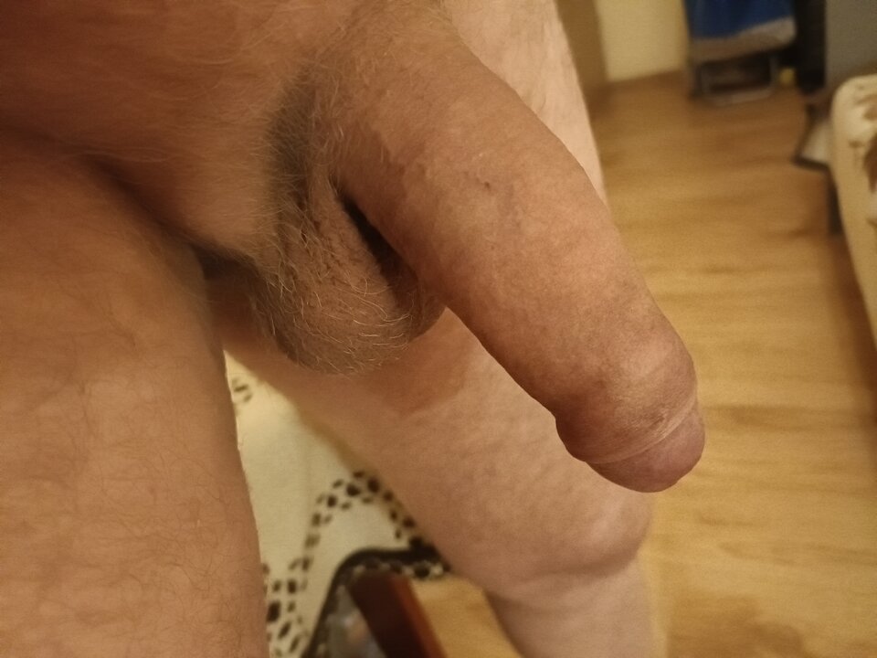 16743235023795378613371867012900.jpg - ardas1