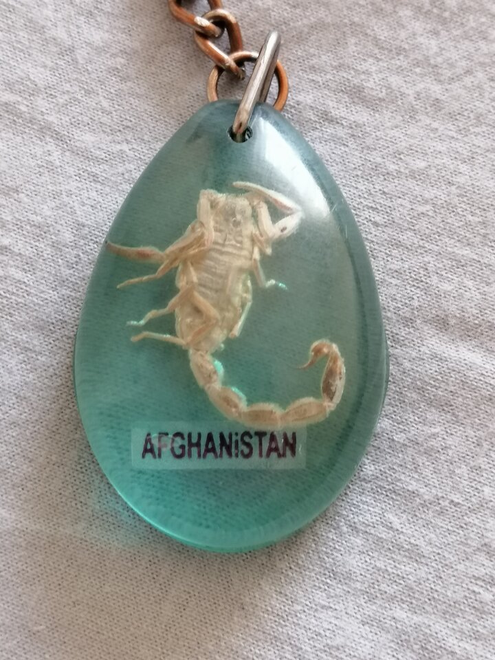 IMG_20210325_151256.jpg - strzelec1964dst