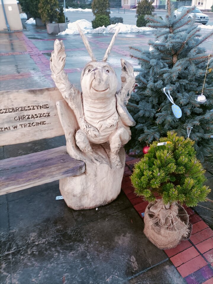 IMG20221226150848.jpg - Zwyczajny5