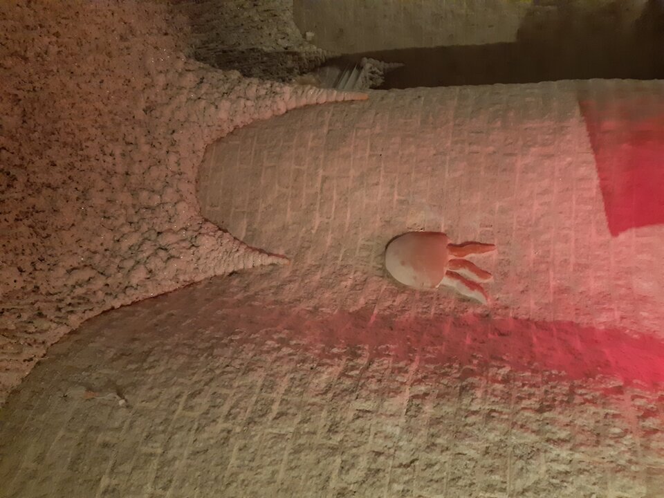 20230122_174147.jpg - swistak318