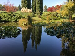 IMG_1530.JPG