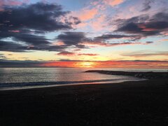 IMG_0428.jpg