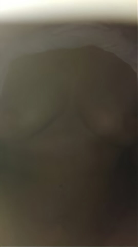 attach (7).jpeg - Pareczkamw