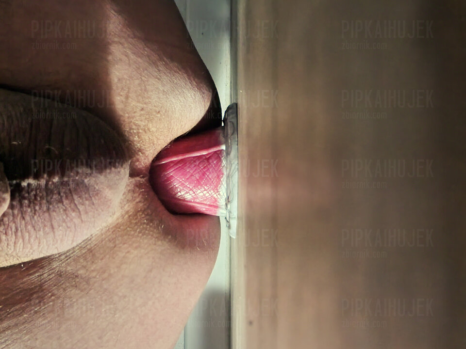 20230122_172056_edytowano.jpg - Pipkaihujek