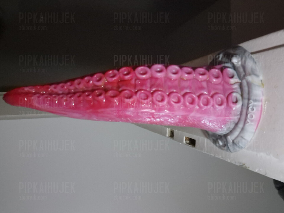 20230122_172542_edytowano.jpg - Pipkaihujek