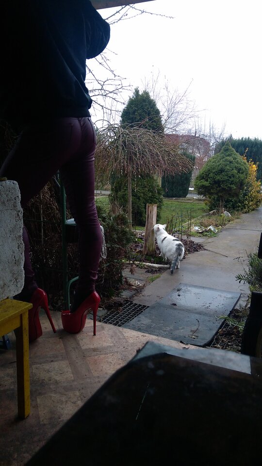 IMG_20230124_085106.jpg - unialeszno