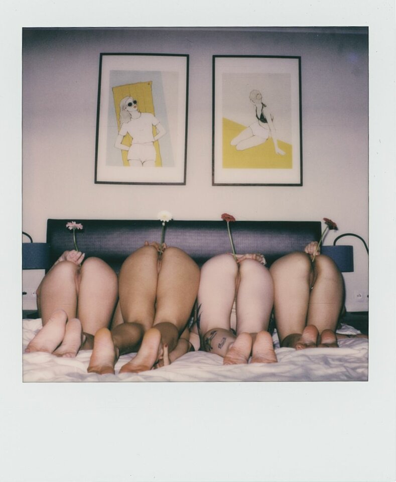 Wazony.jpeg - Parrots